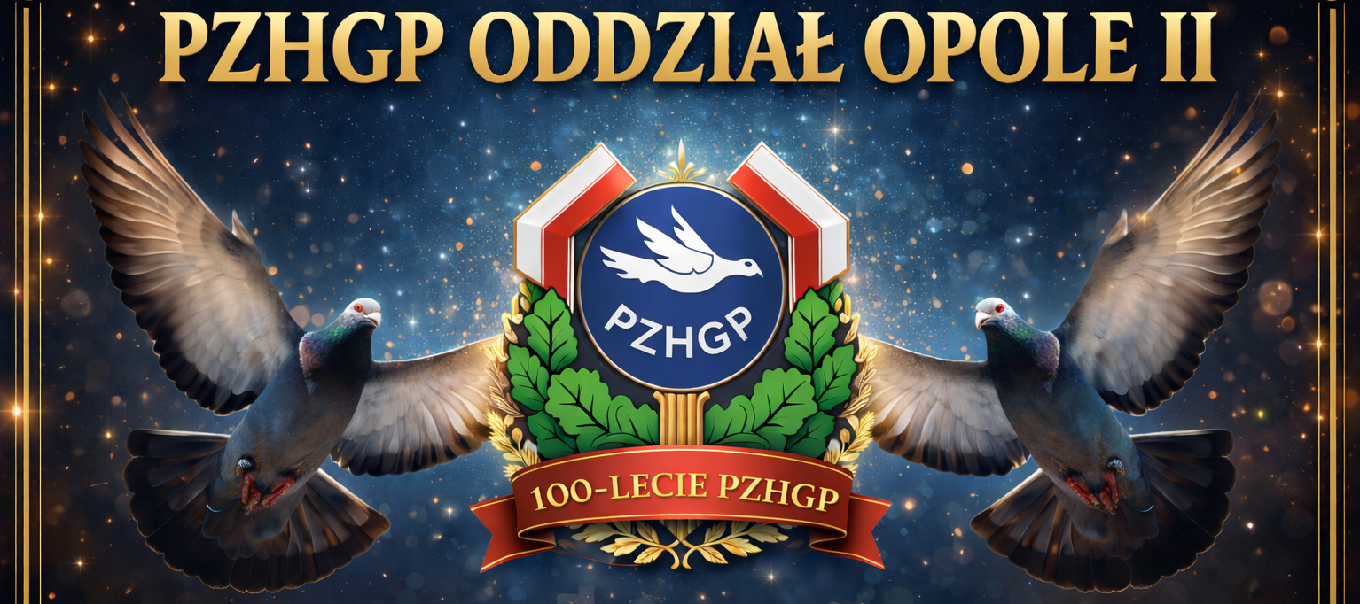 PZHGP ODDZIAŁ OPOLE II – 0262